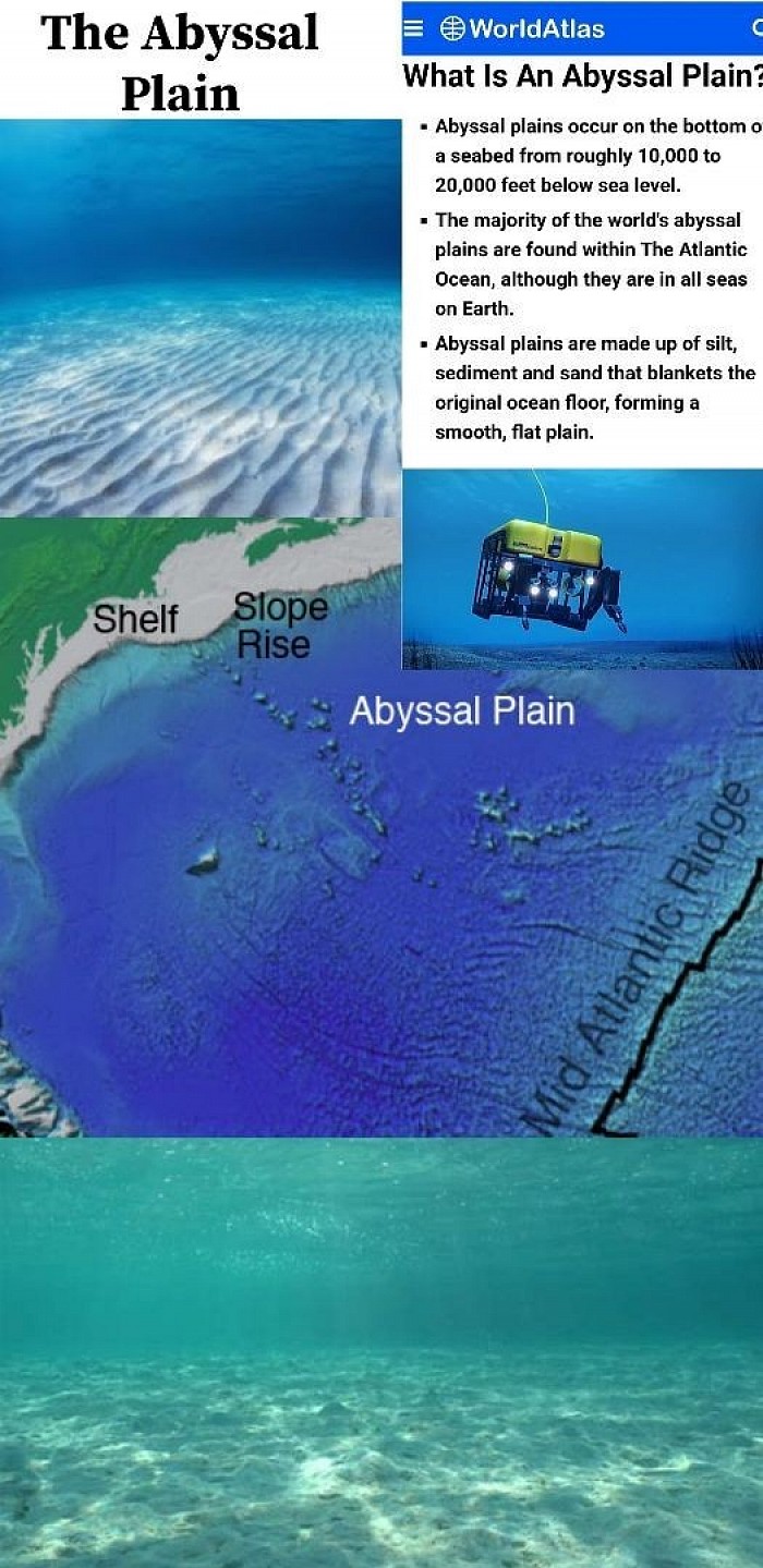 The Abyssal Plain debunking the Earth's giving curvature.