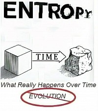 Entropy