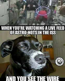 Space walk